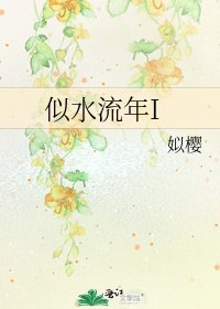 似水流年I