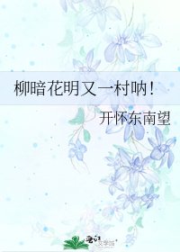 柳暗花明又一村吶！