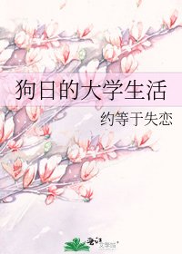 狗日的大学生活